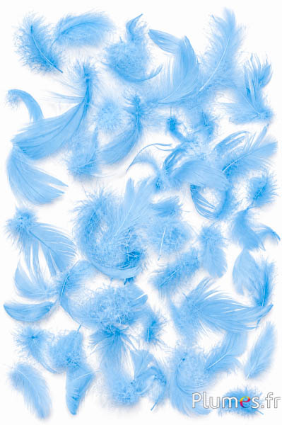 Gans - 4-6 cm - himmelblau